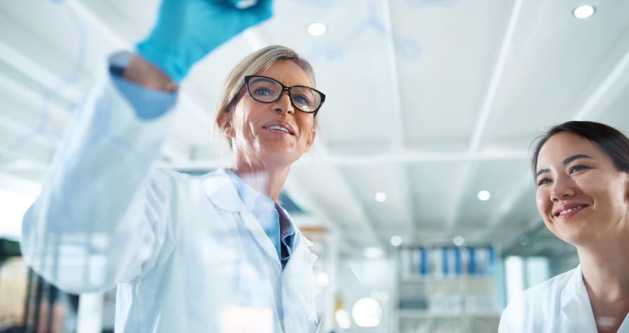 Female Scientists Collaborate and Draw Molecular Structures